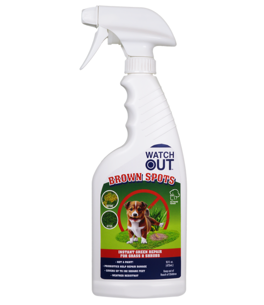 Brown Spots Repair